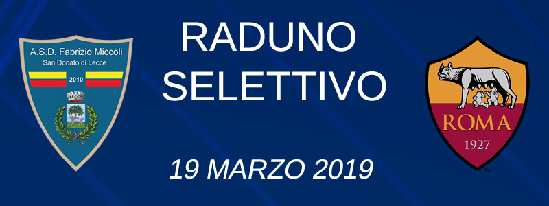 Banner raduno Roma